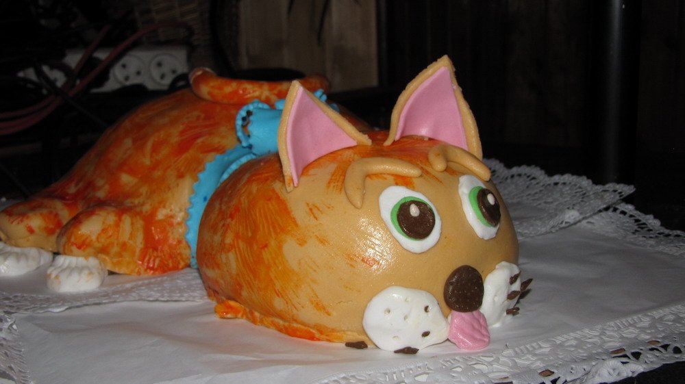 Jedna z cen - dort kočka: