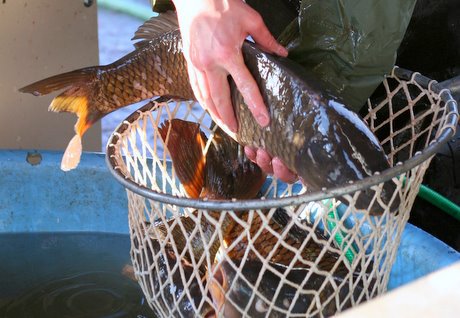 HLÁŠENÍ 19.11.2025